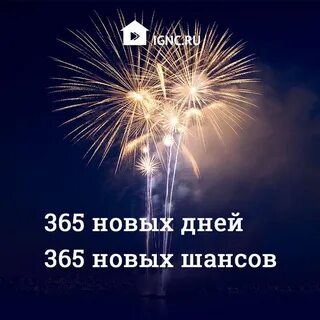 365 новых дней