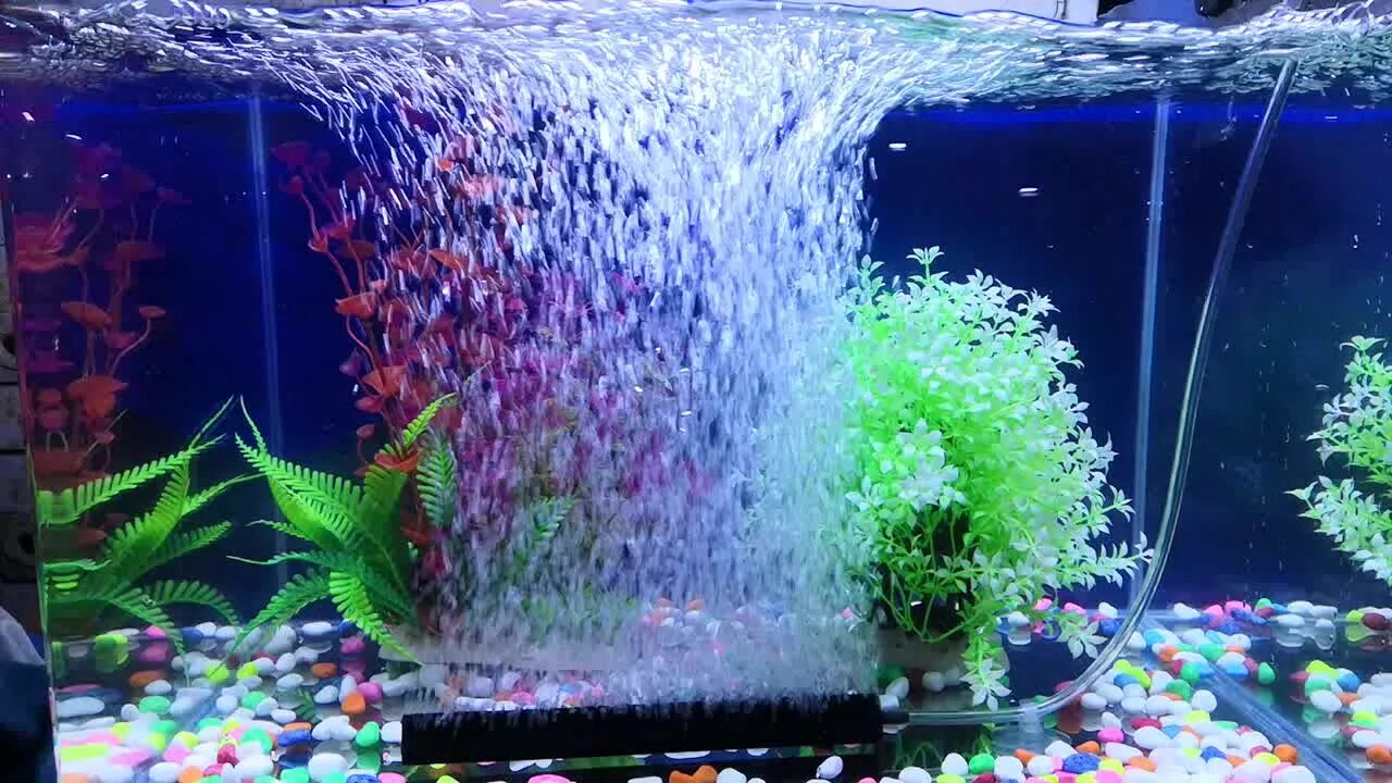 Трубка для аэрации в аквариуме. Aquarium led lamp ipx8 водонепроницаемый. Кислород для рыбок в аквариуме. Аэрация для аквариума. Декорации для аквариума.