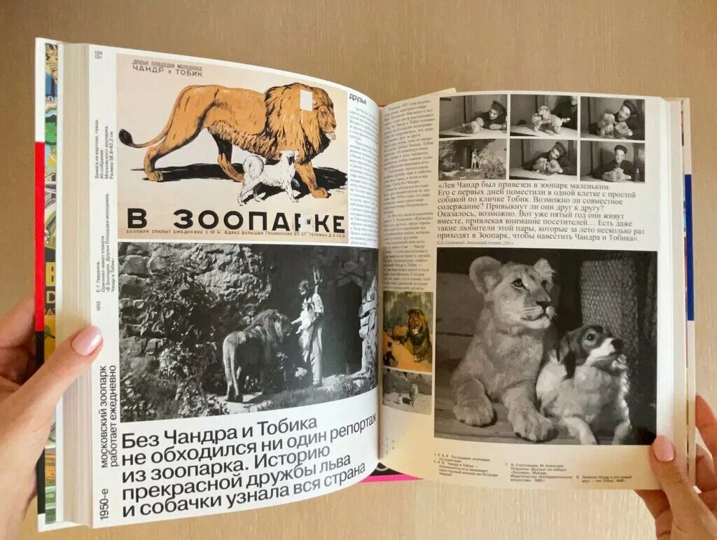 Московский зоопарк книга. Московский зоопарк работает ежедневно. Рекламный плакат 1899–1988. Московский зоопарк работает ежедневно рекламный плакат. Мой первый зоопарк читать произве. Чтение зоопарк