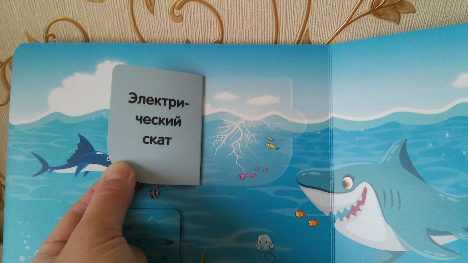 Море океан книга. Море океан книга. Книга океаны зерна. Гавани воздушного океана книга. Детские книги про океан.