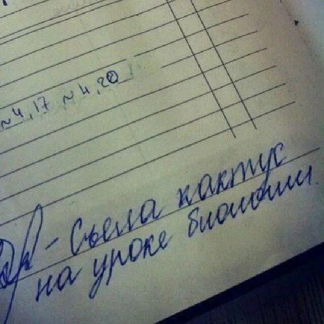 Записи учителей в дневниках. Смешные замечания в школьных дневниках. Дневник лучшие записи. Дневник для записей. Дневник для школы 1 класс.