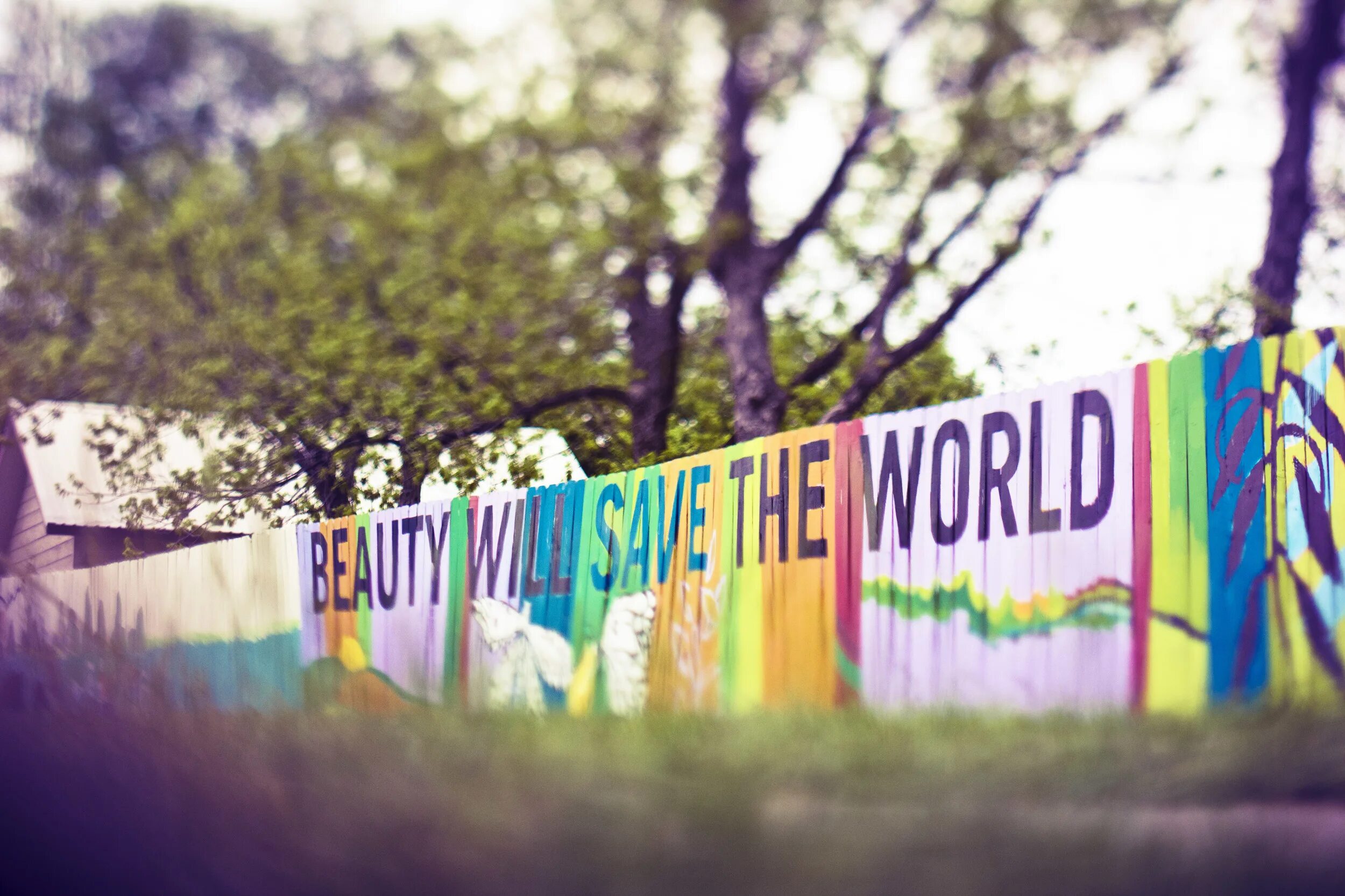 Beauty saves the World. Save the World. Beauty will save the World. Beauty will save the World необычно написана.