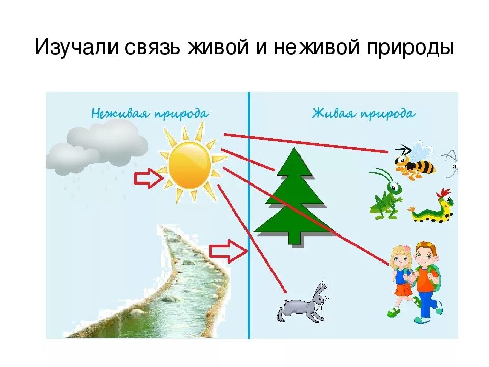 Природные связи между объектами