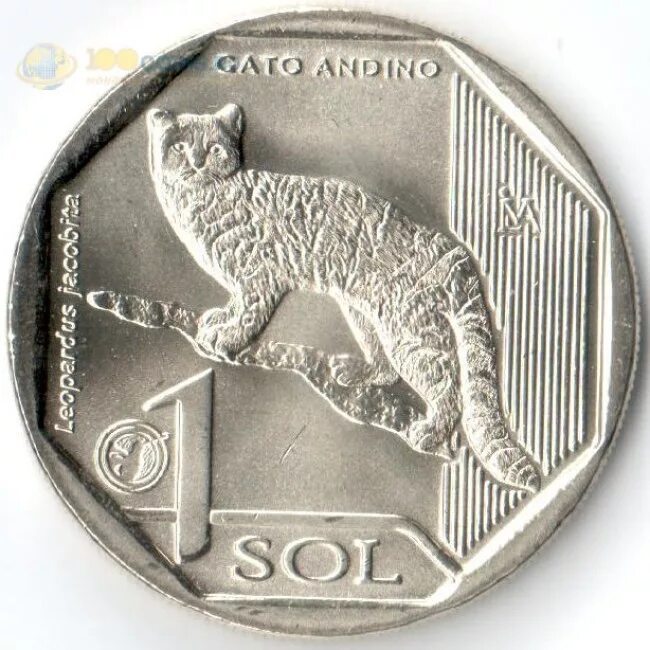 нишанташи кошачий парк. боливийская кошка. долина наска. перу кошки. геоглифы наски перу.