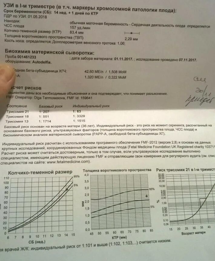 Маркеры хромосомных патологий у плода в 1 скрининге. Норма УЗИ В 1 триместре маркеры хромосомной патологии плода. Маркеры хромосомной патологии плода 1 триместр. Маркеры хромосомной патологии плода расшифровка 1 триместр. Маркеры скрининга