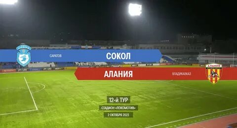Сокол алания прогноз