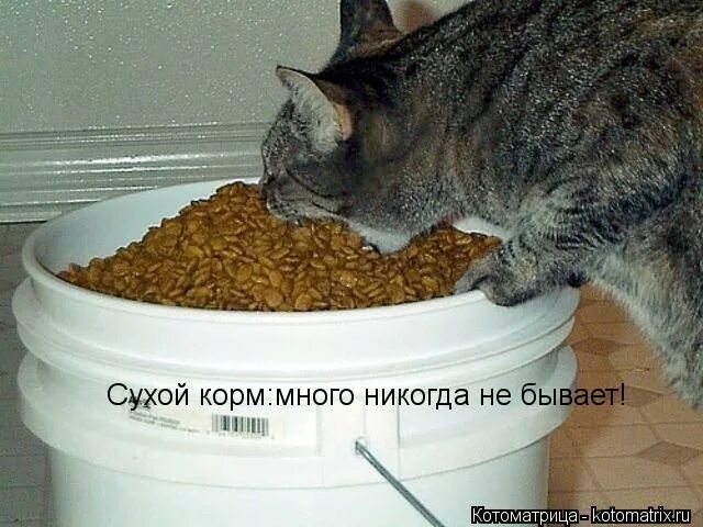 Много никогда не бывает