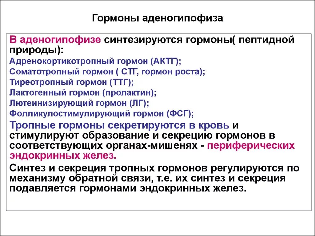 Гормоны переднего гипофиза. Базофильные клетки аденогипофиза вырабатывают гормоны. Роль гормонов аденогипофиза. К гормонам аденогипофиза относятся:. Аденогипофиз секретирует гормоны:.