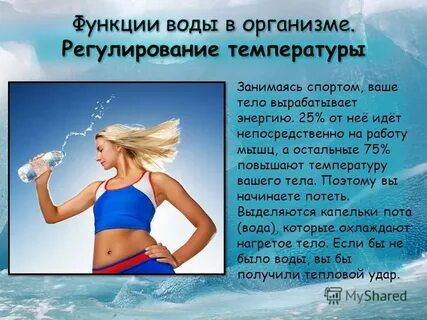 Вода в организмах выполняет функции