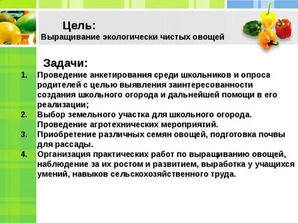 Рассматривание овощей цель