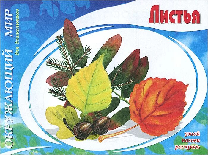 Мир листочков