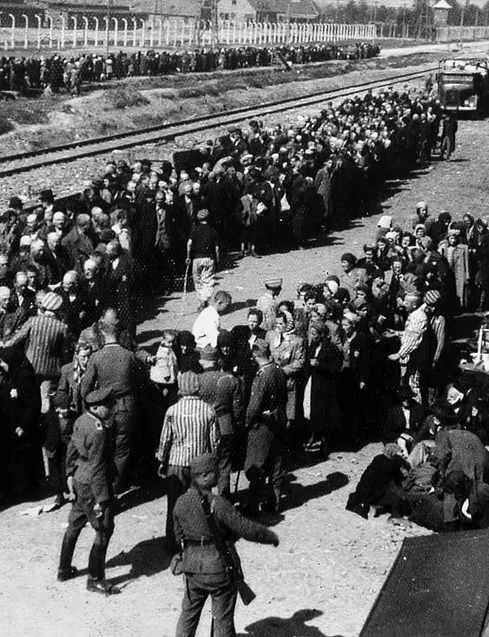 Освобождение узников освенцима 1945. Биркенау освобождение. Биркенау освобождение. 27 января 1945 освобождение узников концлагеря освенцим. Биркенау освобождение.