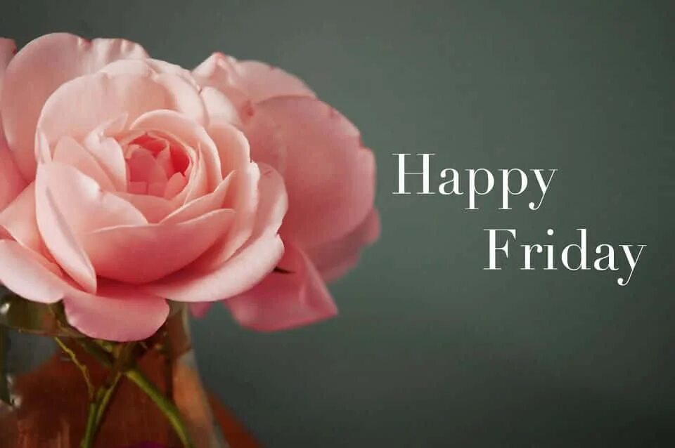 Happy Friday. Have a nice Friday. Friday картинки. Have a nice Friday картинки. Have a good nothing