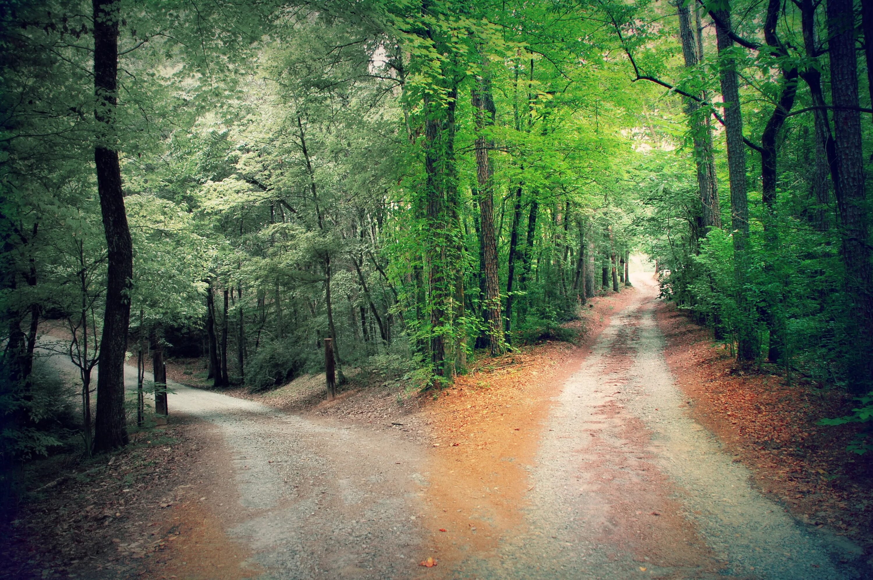 Forking paths
