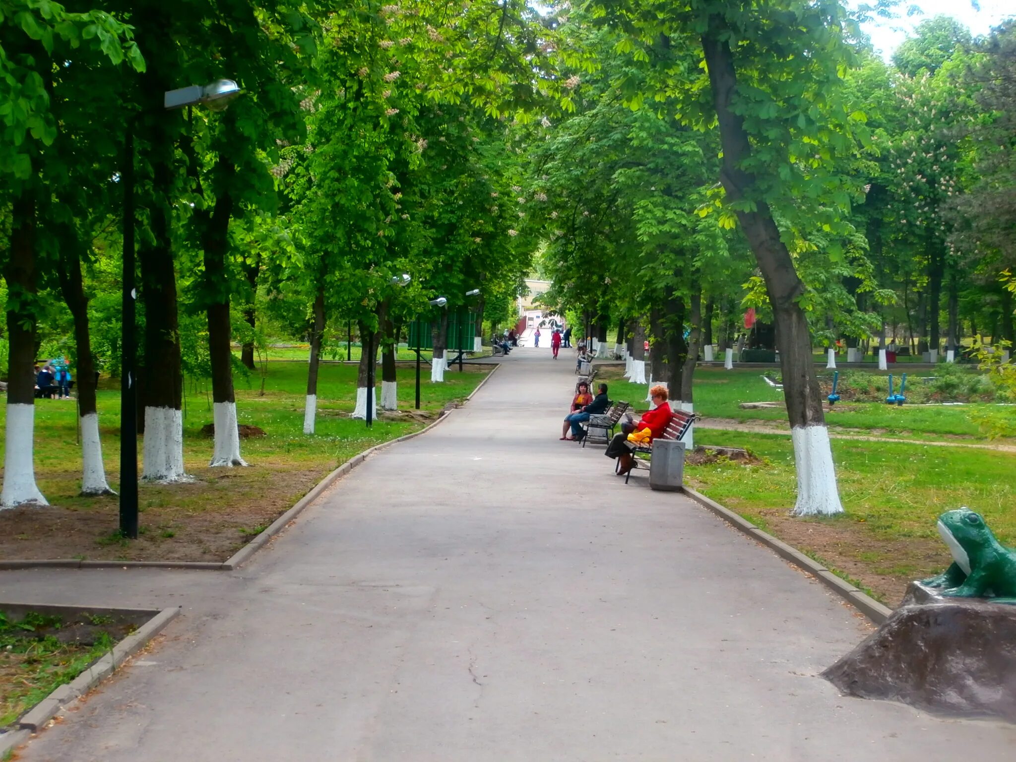 Октябрьский парк. Каштановая аллея Ростов-на-Дону Фото Планета