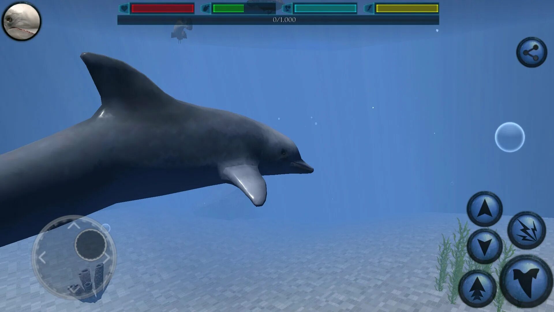 Ultimate Ocean Simulator. Симуляторы Ultimate Ocean. Симулятор морского котика. Dolphin симулятор. Игру симулятор кита