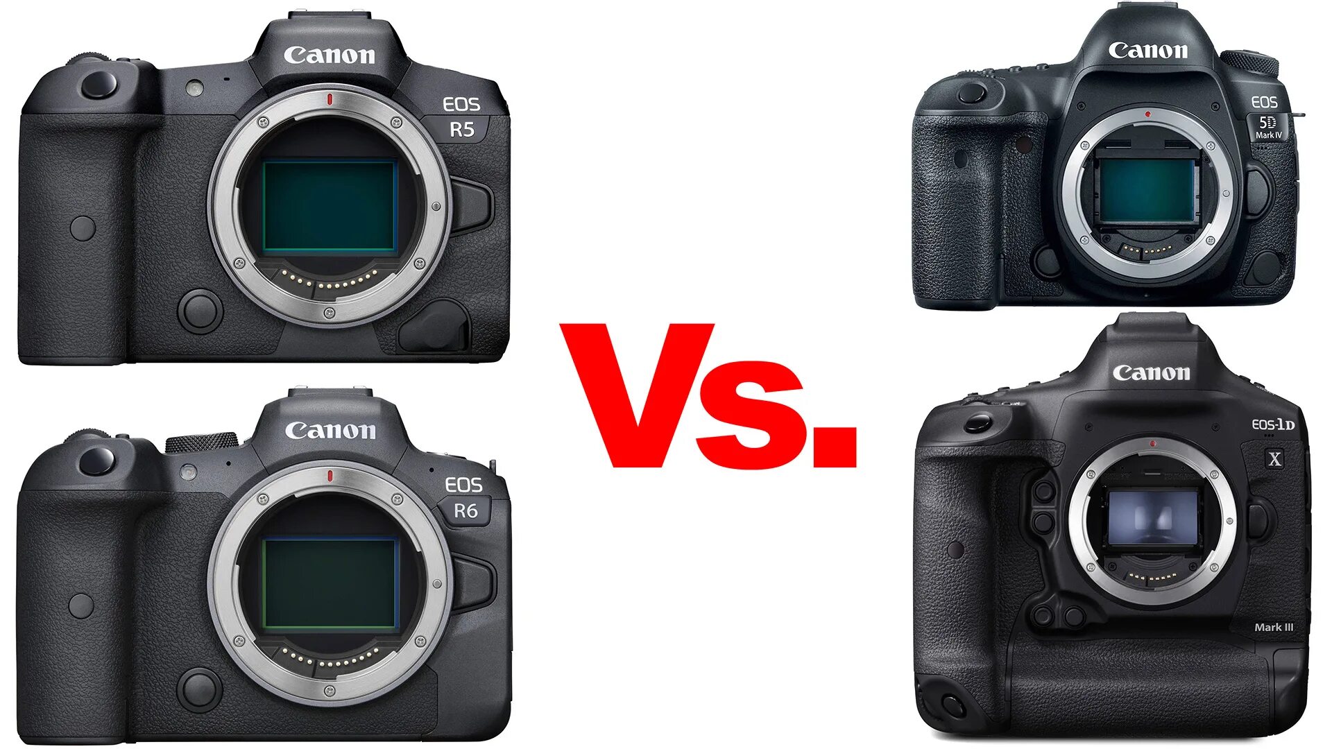 R6 mark ii. Canon 1dx mark 4. canon r5 mark ii. canon eos 1dx vs 5d mark iv. canon eos r1.