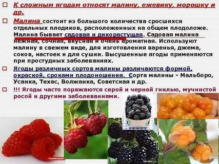 В каких ягодах есть