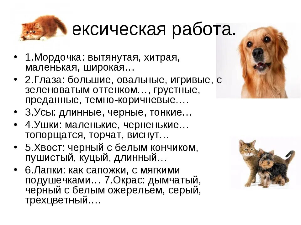 Сочинение описание животного 5. Сочинение про животных. Описание домашнего животного собаки. Сочинение про домашних животных. Сочинение описание животных.