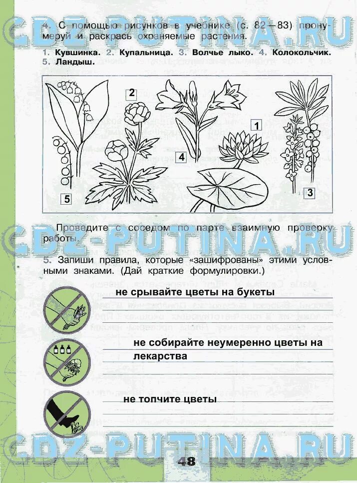 С помощью рисунков учебника