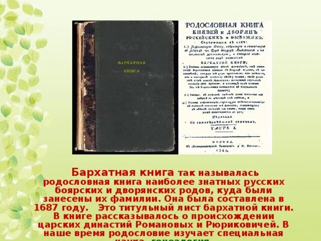 2 правило дворянина книга. Родословная книга русских княжеских и Боярских родов. Бархатная книга книга. Бархатная книга дворянских. Бархатная книга родословная.