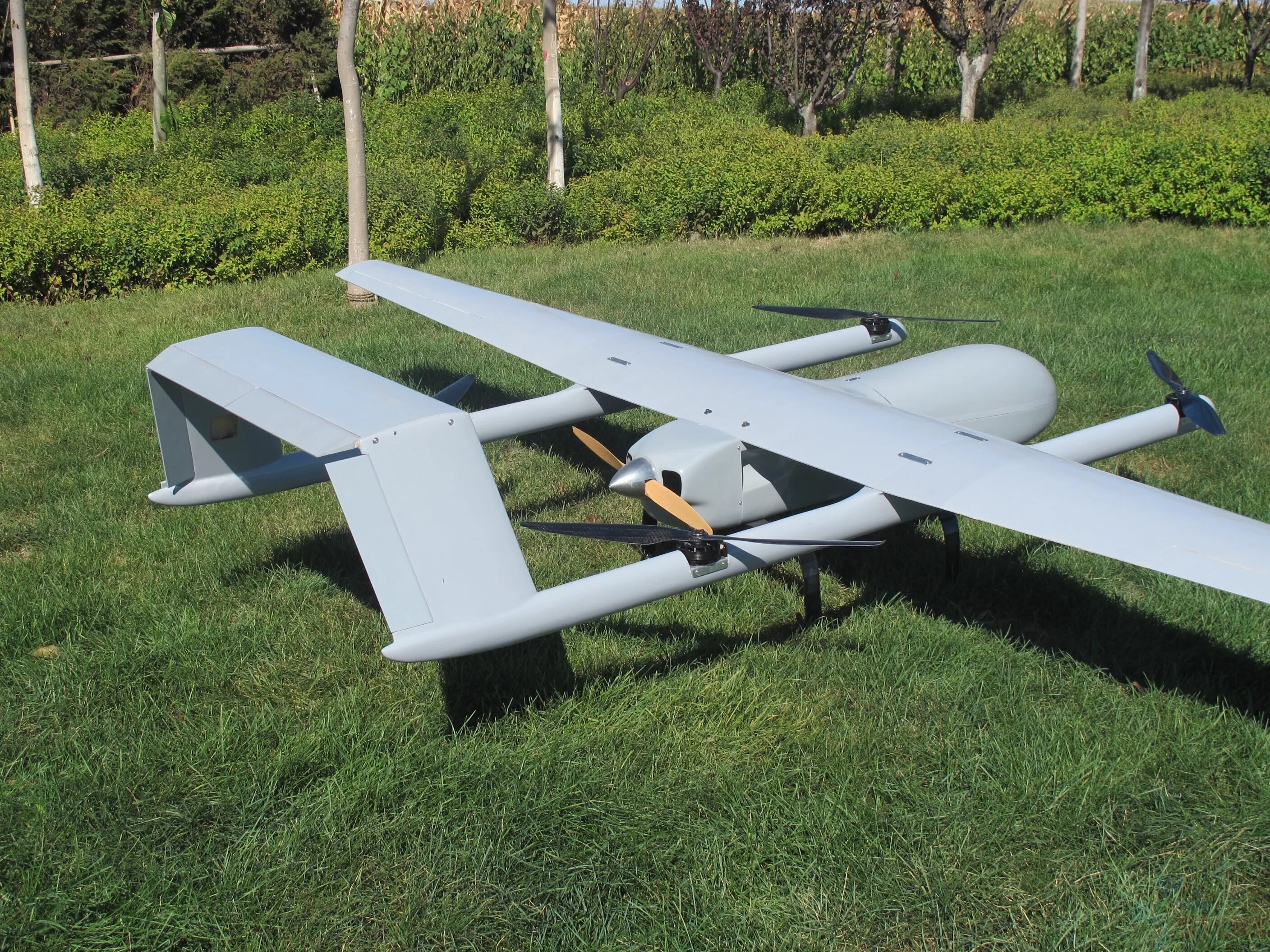 Fixed wing