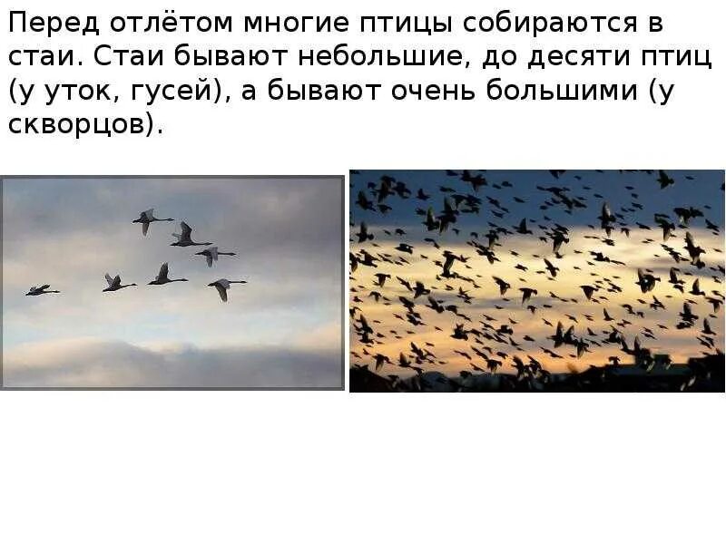 Улетели какое время. Улетели какое время