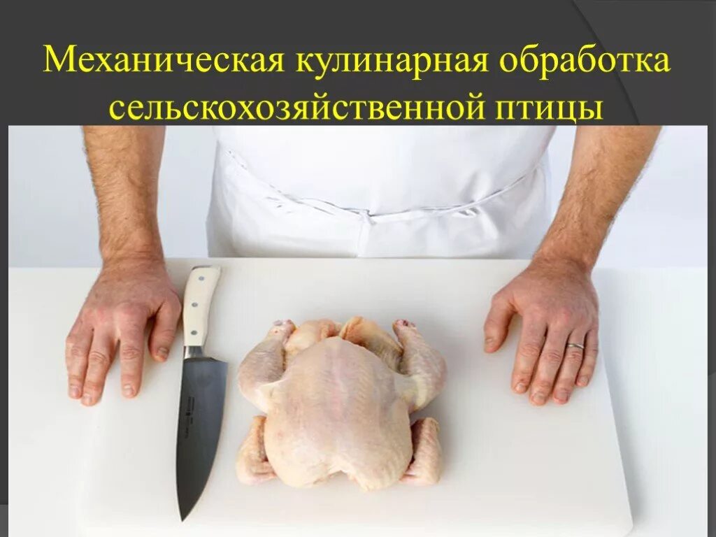 Технология обработка птиц. Тепловая обработка птицы. Технологическая схема первичной обработки птицы. Обработка домашней птицы. Схема обработки курицы.