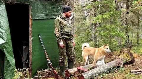 Леха таежная