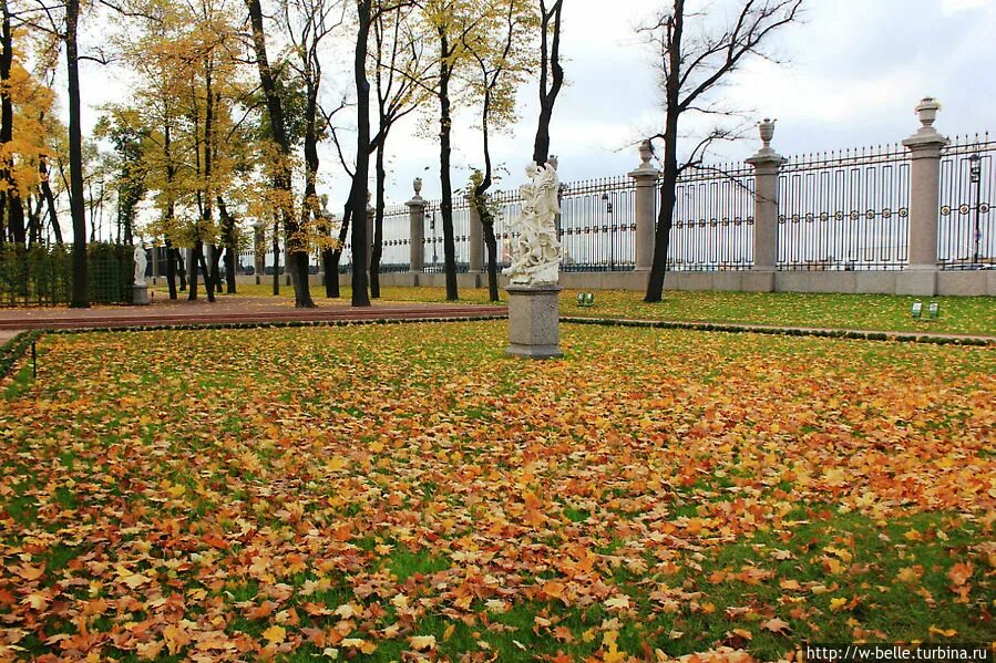 Летний сад осенью. Летний сад в Санкт-Петербурге осенью. Осенний Петербург летний сад. Летний сад СПБ осенью. Золотая осень в летнем саду СПБ.