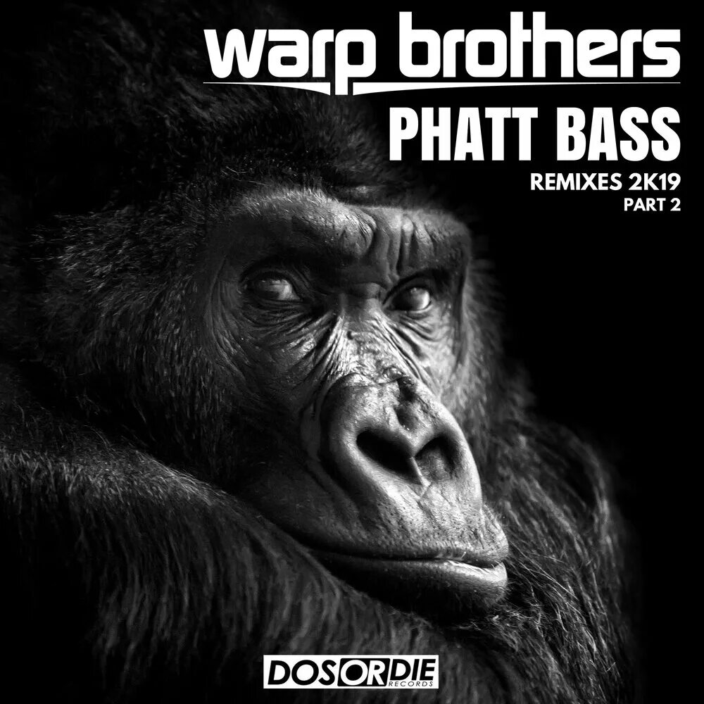 Phatt bass warp. Warp brothers - phatt Bass. Phatt Bass. Aquagen vs Warp brothers phatt Bass. "Warp brothers vs. Aquagen" "phatt Bass & we will Survive (Maxi Single)".