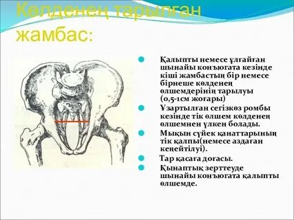 Жетілген транссексуалдық порно фотосуреттер