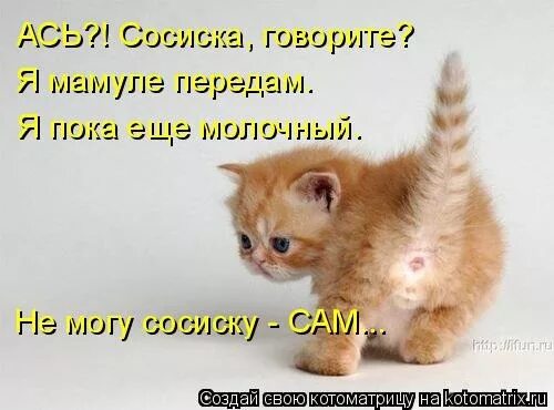 Пока не передавал. Пока не передавал. Всем привет всем пока. Пока не передавал. Когда вас нет о вас такое.