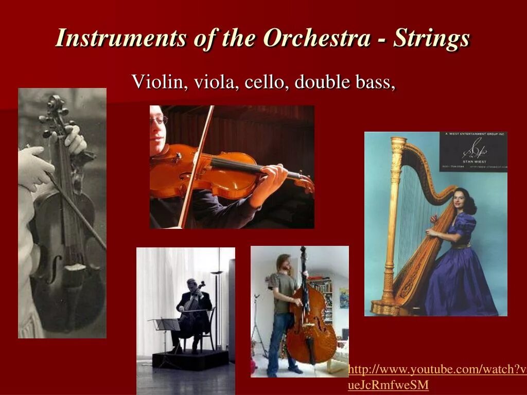 Orchestra instruments. Виола виолончель контрабас. Violin Viola Cello Double Bass. Orchestra stringed instruments.