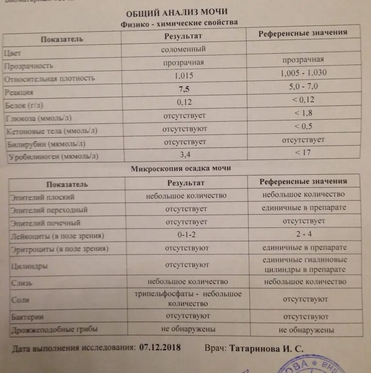 Микроскопическое исследование мочи норма. Исследование осадка мочи норма. ОАМ микроскопия осадка норма. Общий анализ мочи микроскопическое исследование. Расширенный анализ мочи