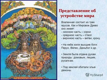 Жил род