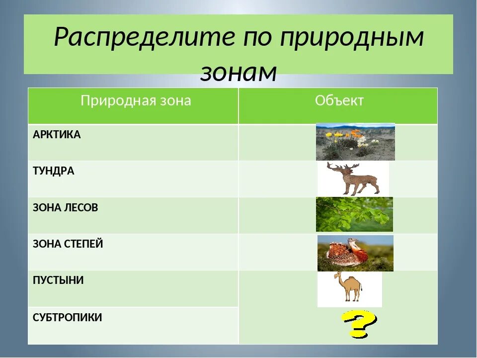 Сообщение о природной зоне 5 класс биология. Животные и растения по природным зонам. Животные различных природных зон. Растения различных природных зон. Распредели животные по природным зонам.