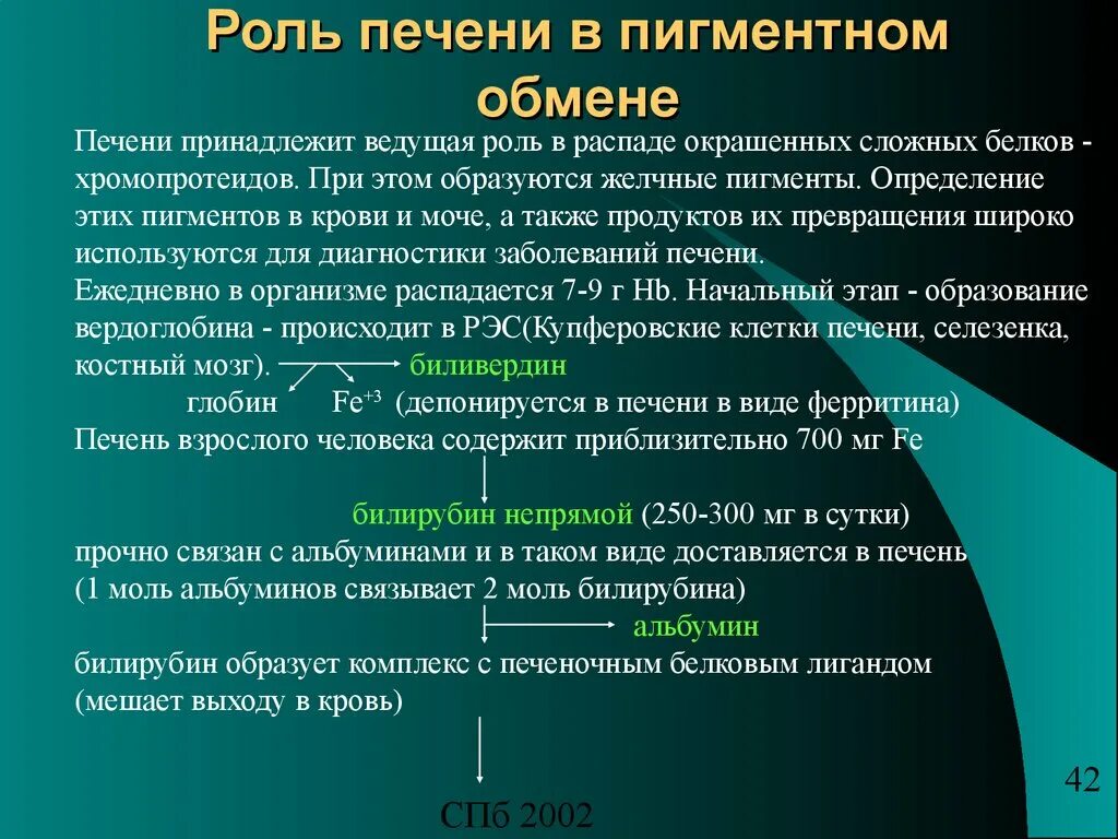 Роль печени в обмене. Роль печени в пигментном обмене. Роль печени в образовании желчных пигментов.. Обмен пигментов в печени. Участие печени в обмене билирубина.