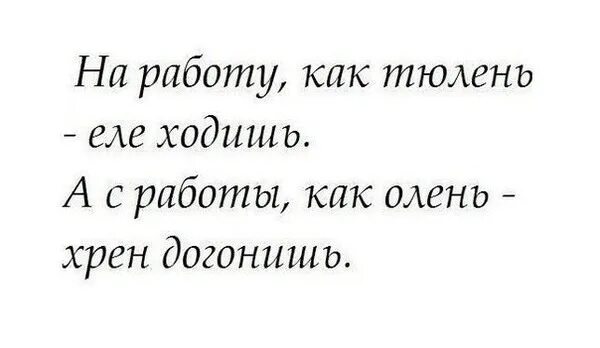 Догонишь почему и. На работу как тюлень. Бегу на работу прикольные. На работу как тюлень еле ходишь. Приколы про работу.