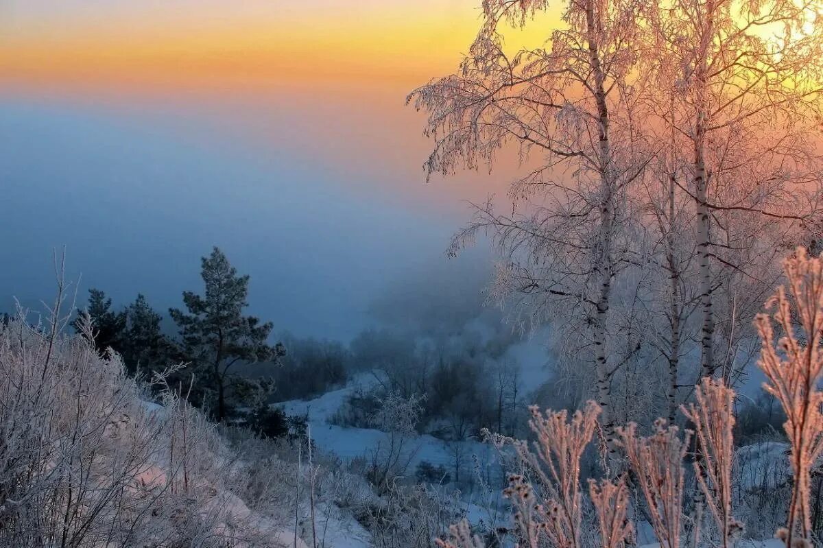 Снежное утро красивые. Зимний рассвет. Рассвет зимой. Зимнее утро.