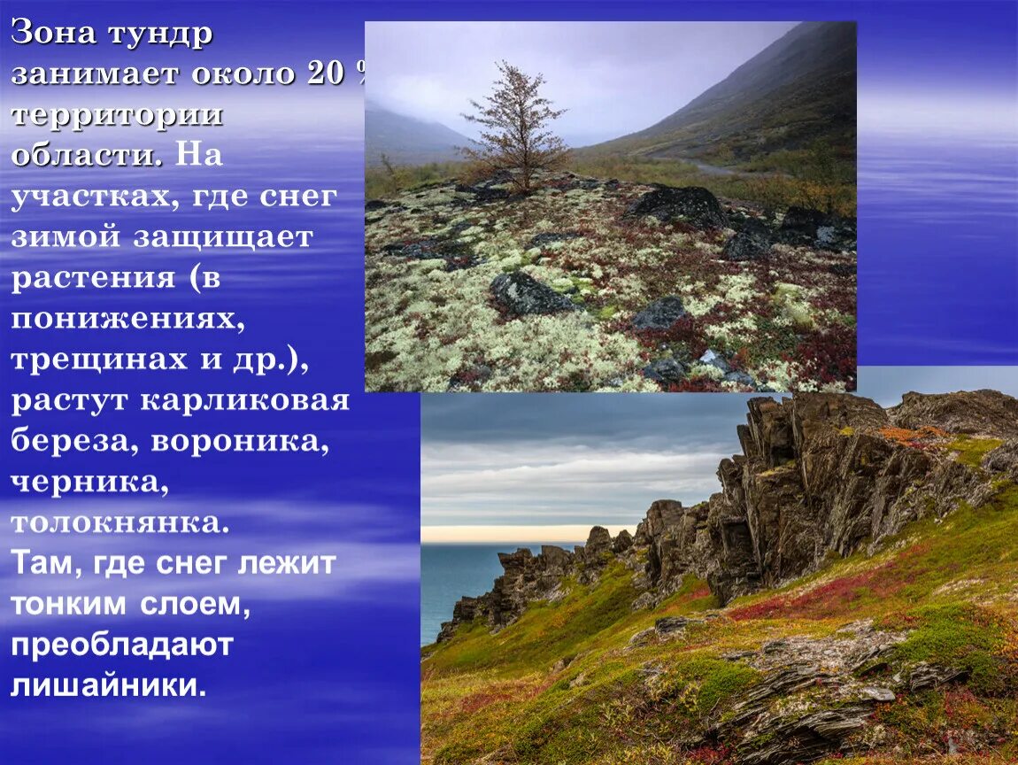 Для зоны тундр россии характерны. Рельеф Кольского полуострова. Кольский полуостров природная зона тундра. Зона тундры рельеф. Рельеф тундры.