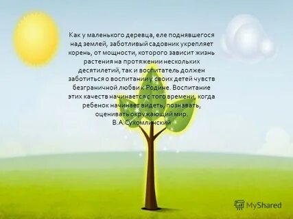 Деревца на версту кругом не увидишь