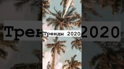 Тик ток 2020