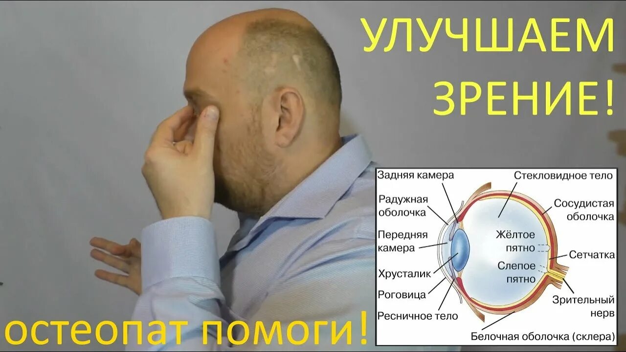 100 восстановить зрение. Остеопат для зрения. Восстановить зрение. Зрение и остеопатия.