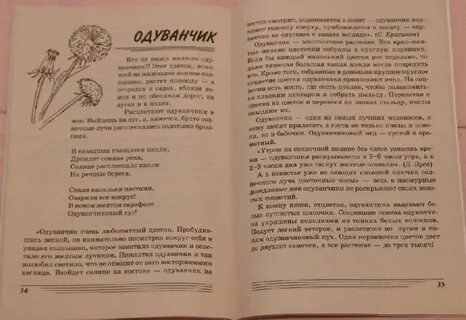 Т шорыгина восход солнца