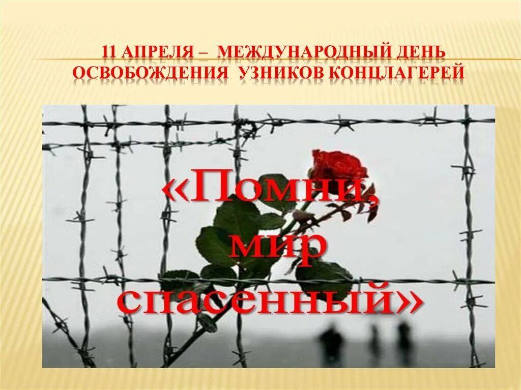 День освобождения узников фашистских концлагерей сценарий. 11 Международный день освобождения узников фашистских концлагерей. 11 Апреля 1945 день освобождения узников фашистских лагерей. 11 Апреля день памяти жертв фашистских концлагерей. Международный день узников фашистских концлагерей 11 апреля.