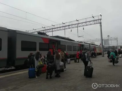 Ласточка ростов таганрог