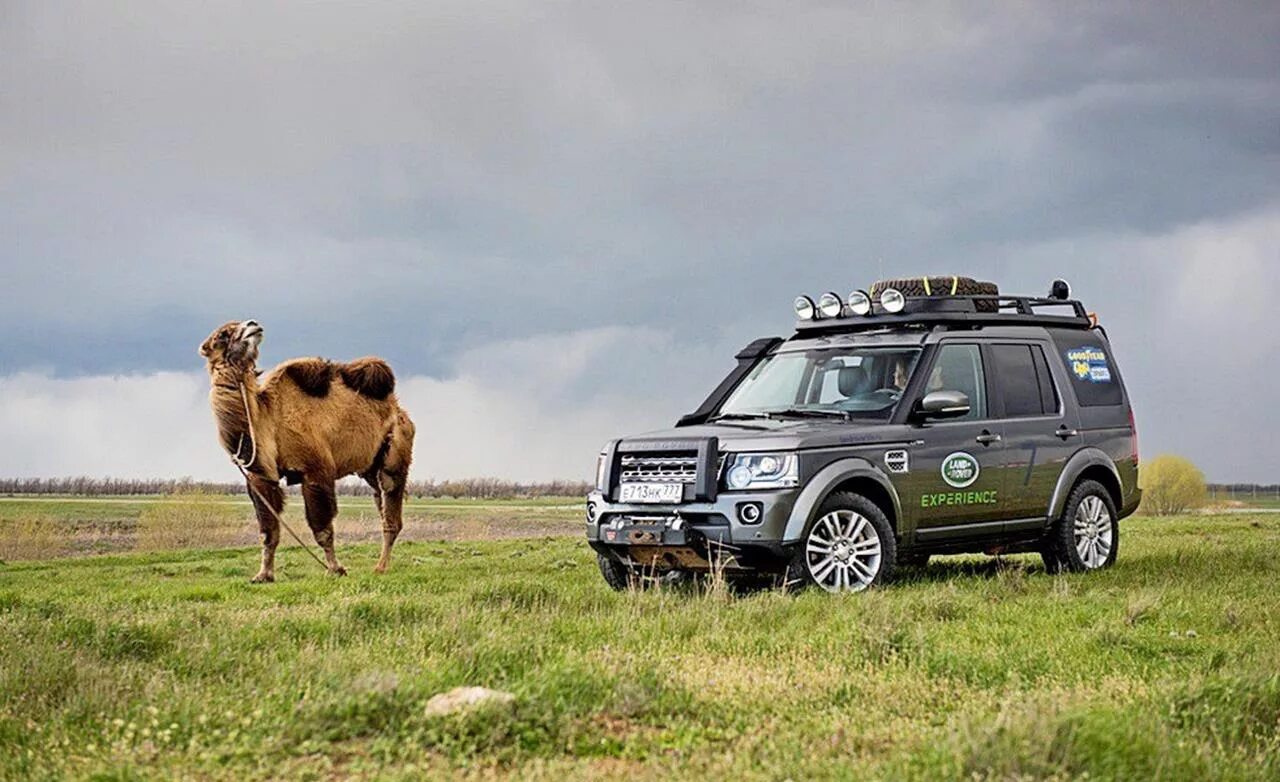 Land Rover Discovery экспедиционный. Ленд Ровер Дискавери 3. Лонг гровер Дискавери Экспедиция. Ленд Ровер Дискавери внедорожный.