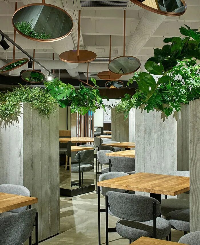 Ресторан здорового питания интерьер. Зелень в интерьере кафе. Кофейня с зеленью. Дизайн ресторана.