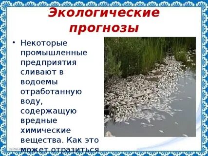 Экологический прогноз